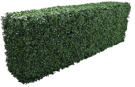 True Products Premium Freestanding Artificial Boxwood Hedge on a Metal Frame Indoor or Outdoor UV Stable 158 x 56 x 33cm - Short