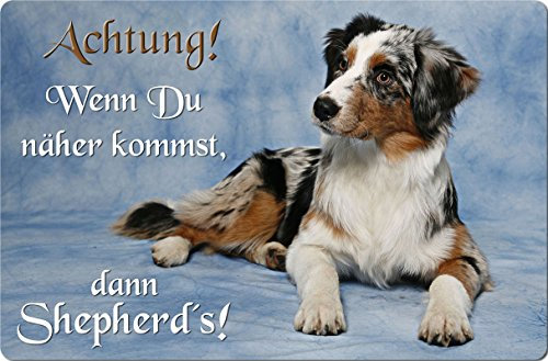Nanyuk +++ Australian Shepherd - Metall Warnschild Schild Hundeschild Sign - ASD 12 T38