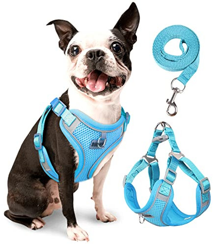 rennaio Hundegeschirr Kein Ziehen, Verstellbares Welpengeschirr mit 2 Leinenclips, Reflektierendes Hundegeschirr und Leine Set für kleine und mittelgroße Hunde (Himmelblau, M)