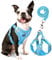 rennaio Hundegeschirr Kein Ziehen, Verstellbares Welpengeschirr mit 2 Leinenclips, Reflektierendes Hundegeschirr und Leine Set für kleine und mittelgroße Hunde (Himmelblau, M)