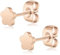 Artskin Titan Frauen Rose Gold Ohrstecker Nickel frei hypoallergen Mädchen Ohrring Ohrstecker für empfindliche Ohren zierlich herzförmigen Ohrring für Frauen Mädchen Teens