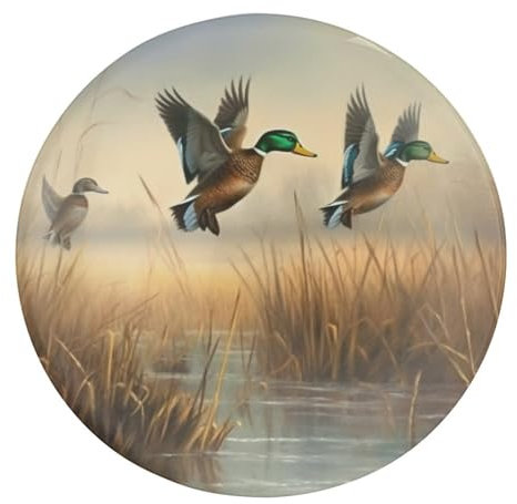 Kühlschrankmagnet, Glas, Kühlschrankmagnete, Jagd, fliegende Wildnis, rund, stark, magnetisch, Kühlschrank-Aufkleber für Heimdekoration, Kühlschrankaufkleber für Küchenschrank, Fotos