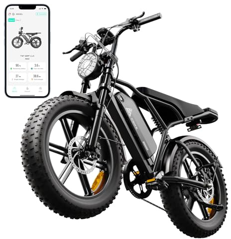 TST E Bikes Fatbike 20 * 4.0 Zoll Elektrofahrrad Herren Damen 48V 15Ah Akku | Ebike für Erwachsene, 250 W, 60 Km Reichweite, 7-Gang All-Terrain Elektro Fahrrad mit Federung, App-Steuerung, Doppelsitz