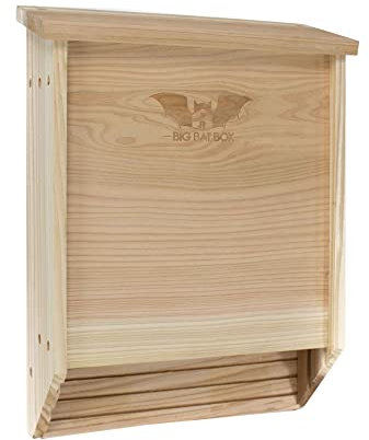 KEXMY à 2 Cèdre Bat Maison Non Fini