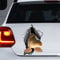 PBHYDK 2 Stücke Karpfen Auto Aufkleber, Karpfen Aufkleber, Karpfen Auto Aufkleber Laptop Koffer LKW Zubehör Auto Aufkleber Dekoration Aufkleber Lustige Auto Autoaufkleber