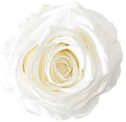 Juli Flowers Pure White Rose