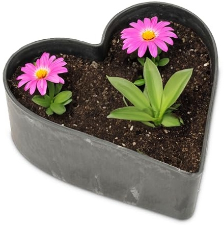 matches21 HOME & HOBBY Herz Pflanzschale Vintage schwarz 26 x 24 x 7,5 cm wetterfeste Grabschmuck Blumen-Schale