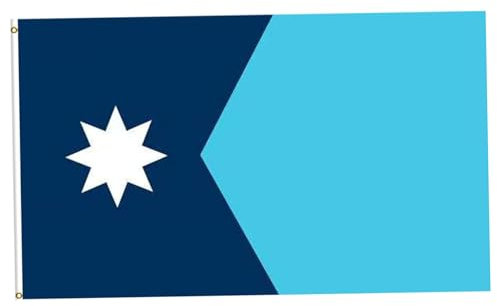 Minnesota State Flag 3x5ft Minnesota Flagge Polyester MN State Flag mit Messing -Grommet Mn Flag für Sprachparade Party Sportsport Event.