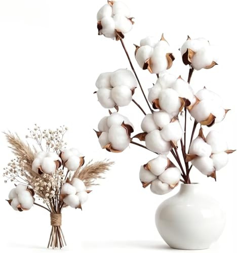 YALiya 10 Stück Getrocknete Baumwolle Zweig und 5 Stück Baumwollblumenköpfe | Baumwollblüten Deko, Baumwolle Deko Natürlich, Gilt für Blumen Arrangements, Heim Decor, DIY Dekoration, Home Party