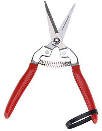 Bonsai-Baum, Gartenschere, Gartenschere zum Sammeln von Obsttrauben, Zitrusfrüchten usw(Straight, 12)