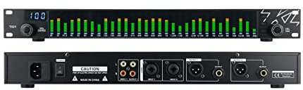 DDARKHORSE T531 Equalizzatore Digitale EQ Riduzione del Rumore, con Display dello Spettro 31 Bande per KTV Stage Performance Board Livello Stereo, indicatore di Spettro LED