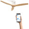 CREATE / WINDCALM DC/Ventilatore da soffitto con WIFI con motore DC bianco, con pale in legno naturale/Silenzioso, timer