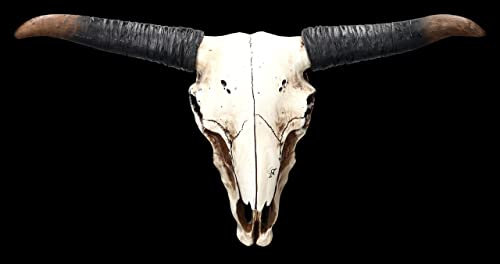 Figuren Shop GmbH Wanddeko Longhorn Totenkopf 49 cm groß - Relief mit Hörnern | Trophäe Kopf Rind Longhorn Bulle Büffel Schädel