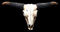 Figuren Shop GmbH Wanddeko Longhorn Totenkopf 49 cm groß - Relief mit Hörnern | Trophäe Kopf Rind Longhorn Bulle Büffel Schädel