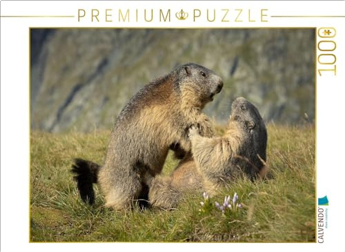 CALVENDO Puzzle Raufbolde | 1000 Teile Lege-Größe 64 x 48 cm Foto-Puzzle für glückliche Stunden
