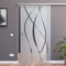 BM6-1025-ASE: Schiebetürsystem ESG 1025x2050x8mm Dekor M6, Siebdruck; Schienensystem ALU SlimLine SoftClose; Griffmuschel