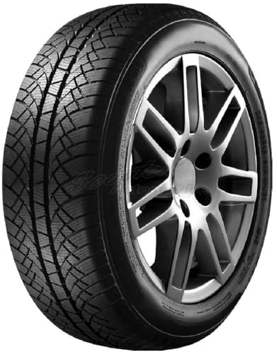 SUNNY - 195/60 R15 TL 88T WINTERMAX NW611 M+S 3PMSF - Winterreifen