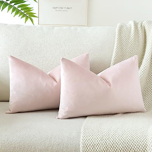 JOTOM Lot de 2 Housses de Coussins en Velours Décoratif Canapé Taie d'oreiller Doux Decoration pour Maison Salon Chambre Canapé Décoration 40x60cm (Bébé Rose)