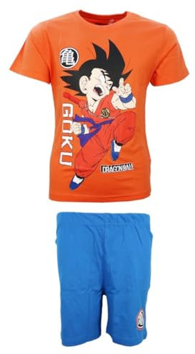 DRAGON BALL Z Dragon Ball, Pyjama Court, Garçon (Orange,13 Ans)