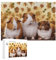 Meerschweinchen-Puzzle, personalisiertes Puzzle für Erwachsene, Holzpuzzle, individuelle Puzzles aus Fotos, Bildpuzzle, klassisches Puzzle für Hochzeit, Geburtstag, Valentinstag
