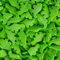 Cakeshop Green Dinosaur Vegan Cake Sprinkles - Bright, Tasty Sprinkles Cake Decorations - Perfect for Cakes & Cupcakes - Cake Sprinkles Decorations Edible - Top Your Sweets With Cupcake Sprinkles