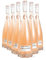 Cote des Roses rosé 2024 Lot 6 Bouteilles 75cl
