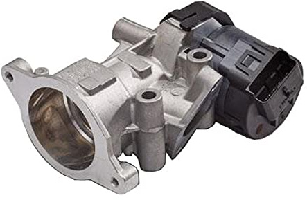 Delphi Technologies EG10411-12B1 EGR Valve