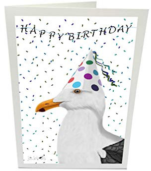 Geburtstagskarte mit Umschlag Glückwunschkarte zum Geburtstag Möwe Happy Birthday Vogel Illustration