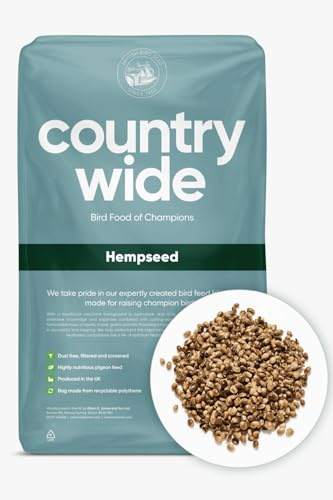 Willsbridge Hempseed Bird Food