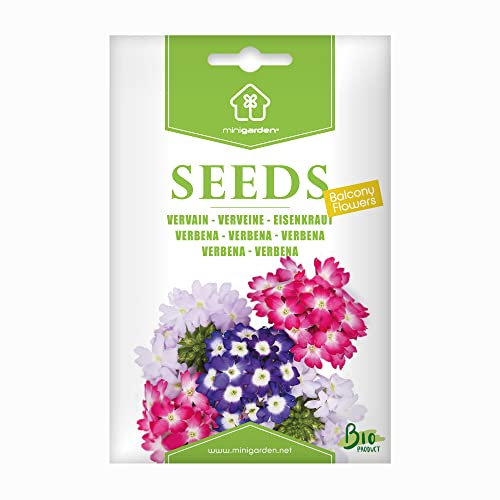 Bio-Eisenkraut-Samen von Minigarden – 100% natürlich, GVO-frei, bereit zur Aussaat, reproduzierbar – 90–120 Samen