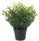 IKEA FEJKA Künstliche Topfpflanze 9cm In/Outdoor Haus Bambus