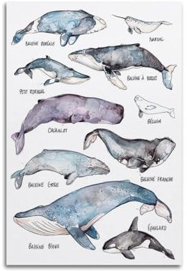 KAIPA Vintage Sea Life Poster Wal Poster Dekorative Malerei Leinwand Wandposter und Kunstdruck Modern Familie Schlafzimmer Dekor Poster 60 x 90 cm