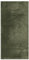 vidaXL Tapis à Poils Courts Doux et Lavable, Moquette de Sol, Tapis de Zone, Carpette de Salon Salle de Séjour Chambre, Moderne, Vert Forêt 100x200 cm