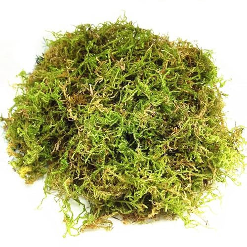 CONNECTION Sphagnum Moos für Pflanzen 200g Natur-Moos Torfmoos Natürliches Sphagnum Moos für Reptilien Moos zum Basteln für Terrarium,Reptilienkäfige,Rasen,Garten,Zimmerpflanzen,Deko