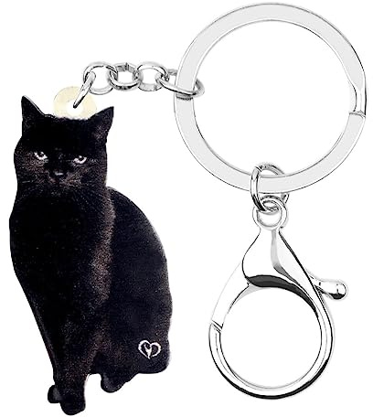 RAIDIN Acrylique Mignon Chaton Noir Chat Porte-Clés Porte-Clés Cadeaux pour les Femmes Filles Maman Amateurs de Chats Clés de Voiture Portefeuille Accessoires