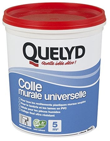 Quelyd Colle Murale Universelle Pâte - Pot de 1 kg