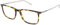 Lacoste L2827, Acetate Sonnenbrille Havana Unisex Erwachsene, mehrfarbig, Standard