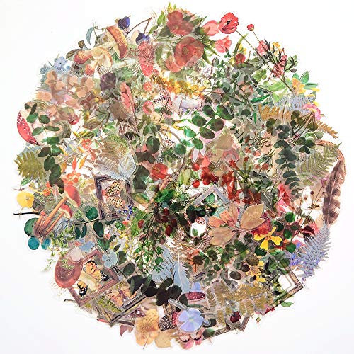 240 PCS Transparent Decorative Stickers,Special Shaped Scrapbook Vintage Sticker Set,Resin Mold Filled Decorative Stickers,6 Nature Themes Plants Stickers for Scrapbooking,DIY Crafts, Laptops