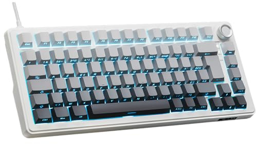 The G-Lab Keyz Elite 300 HE GRW - 75% RGB Magnetic Gaming Keyboard | AZERTY FR, Hall Effect Magnetic Switch, Format 75%, 8000 Hz Polling Rate, Rapid Trigger, Adjustable Activation 0.1 mm