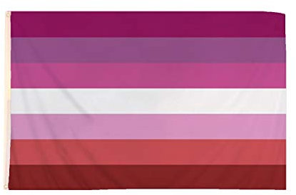 21Fashion Pride Bisexuelle Flagge, 152 x 91 cm, mit Messingösen, Transgender-LGBT-Banner / Lesbische Flagge