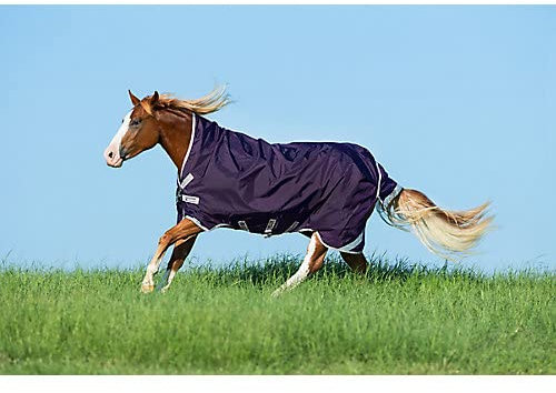 Rambo Wug Turnout Lite 0g 78 Navy/Hunter