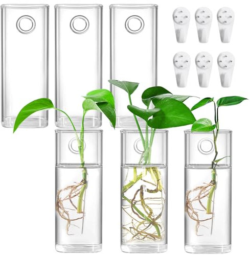 Fasmov 6 Stück Wandbehang Glas Pflanzgefäße Terrarienhalter für Luftpflanzen, Sukkulenten, Blumen – Quadratische, transparente Vasenbehälter für Pflanzendisplay und Dekoration