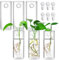 Fasmov 6 Stück Wandbehang Glas Pflanzgefäße Terrarienhalter für Luftpflanzen, Sukkulenten, Blumen – Quadratische, transparente Vasenbehälter für Pflanzendisplay und Dekoration