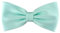 TigerTie vorgebundene Satin Fliege in helles mint grün Uni einfarbig + Geschenkbox