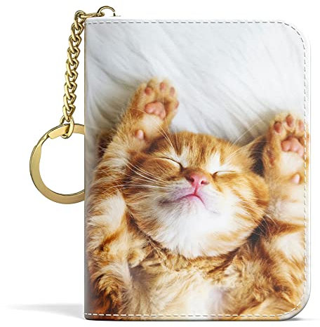 Aiawoxc Porte-Cartes de crédit pour Femme, Petit Portefeuille pour Cartes RFID en Cuir Fin avec Fermeture éclair et Porte-clés, Chat Mignon, Card Holder, Moderne