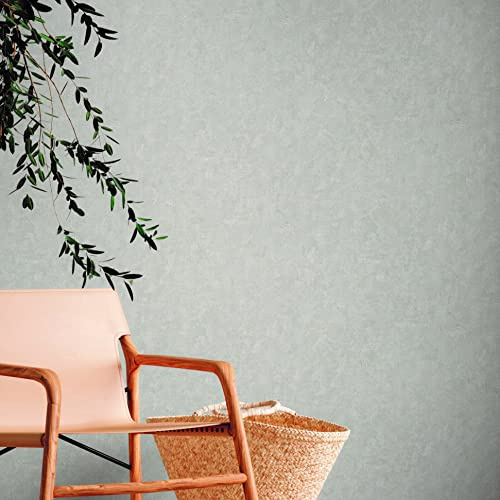 A.S. Création Natural Living 386393 Plain Wallpaper Used Look Grey PVC-Free – Non-Woven Wallpaper 10.05 x 0.53 m Made in Germany