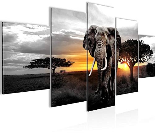Runa Art Bild Wohnzimmer Schlafzimmer Afrika Elefant 5 Teilig Panorama Grau Orange Wandbilder auf Vlies Leinwand 001253c
