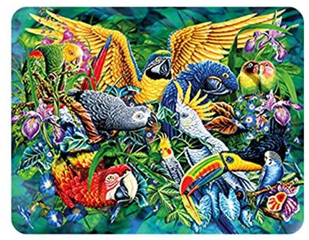 3D LiveLife Magnet - Birds of the Tropics from Deluxebase. Lenticular 3D Bird Fridge Magnet. Magnetic decor for kids and adults with artwork licensed from renowned artist, Steven Michael Gardner
