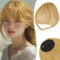 RUWISS Clip in Pony 100% Haarteil Echthaar Clip in Bangs mit Schläfen Remy Echthaar Fringe Bangs für Frauen Pony Extension Echthaar für Damen(Asche Blond)