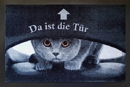 Fußmatte Tiere Eulen Katzen Hunde Blumen für Innen und Außen Home 40x60 cm wetterfest rutschfest waschbar (Katze Tür)